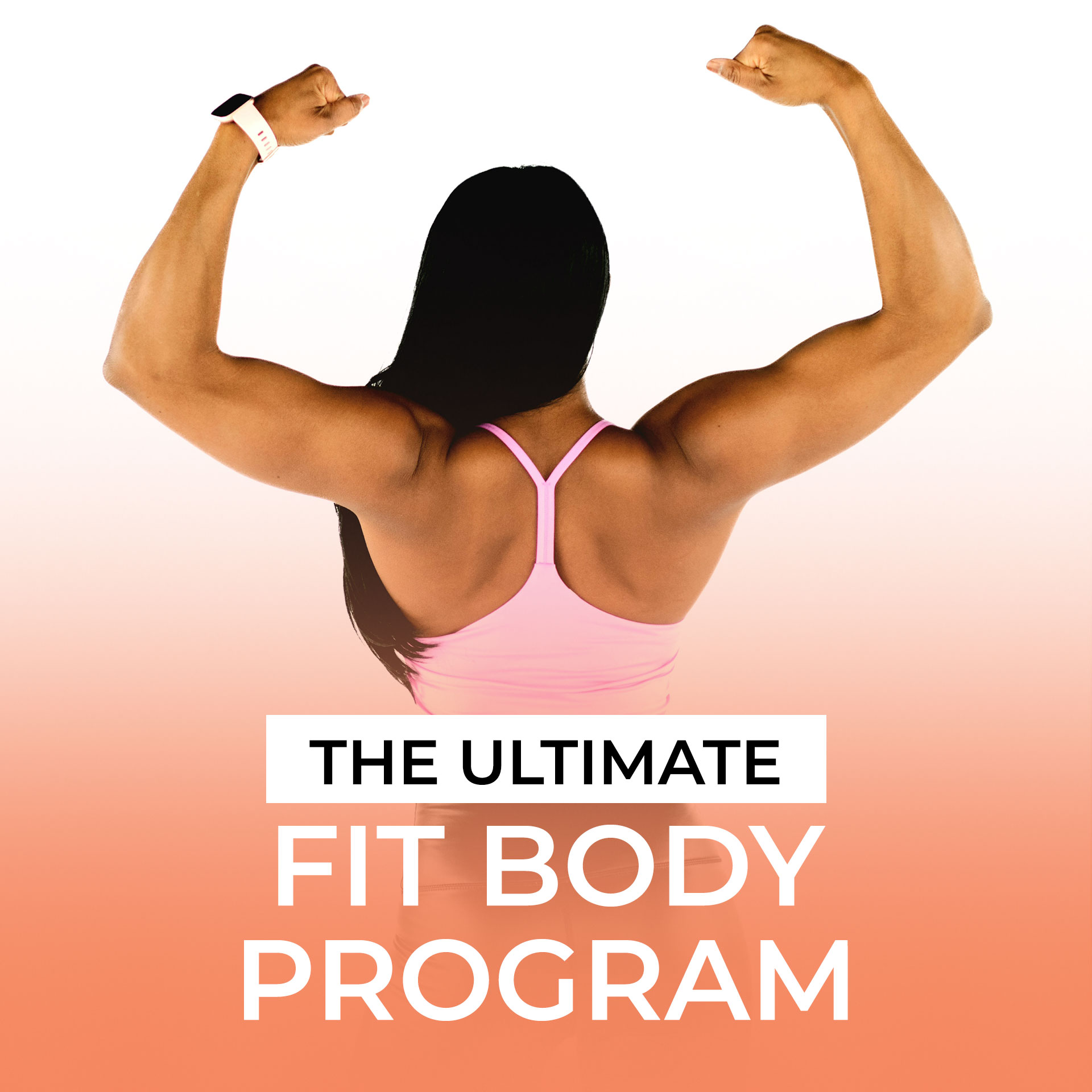 Fit body program sale